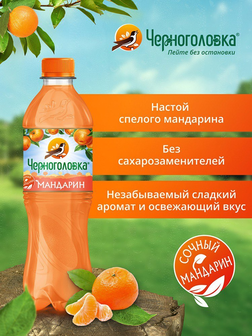 Мандарин 0,5 л. ПЕТ (упаковка 12 бутылок)