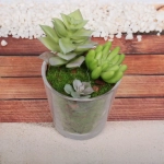 Цветок искусственный «Суккулент» 6*10см в стеклянном горшке ZPY-19