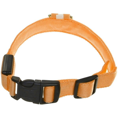 Ошейник для собак «Люмисцент» 2,5*50см светящийся, цвет оранжевый Ультрамарин