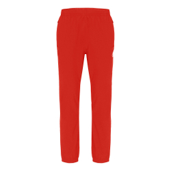 Мужские теннисные штаны BIDI BADU Flinn ÖTV Tech Training Pants Men - Red