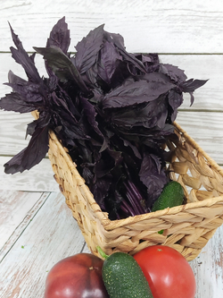 Базилик красный