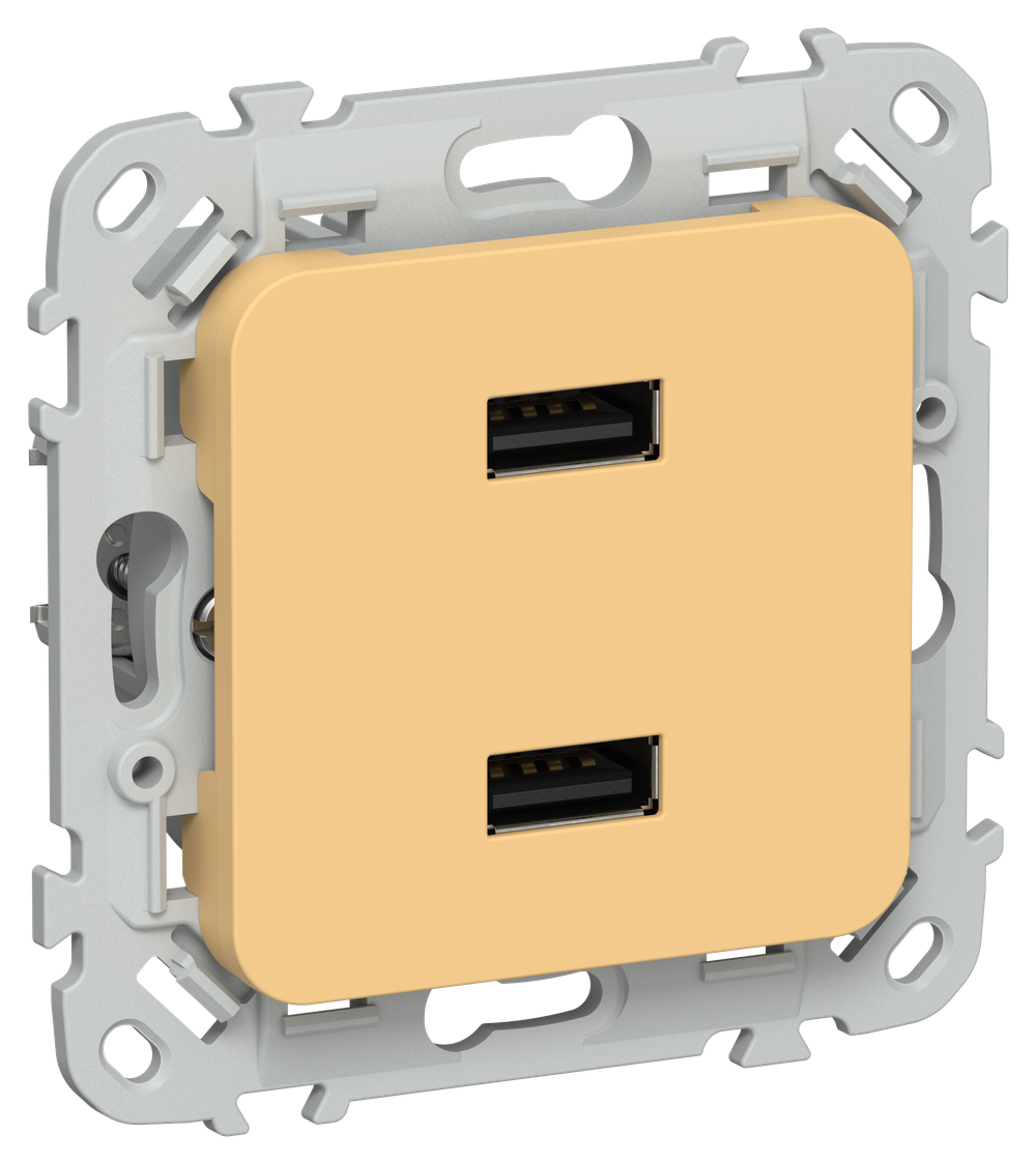 FLITE Розетка USB A+A 3,1А РЮ-2-ФлЗ золотарник IEK