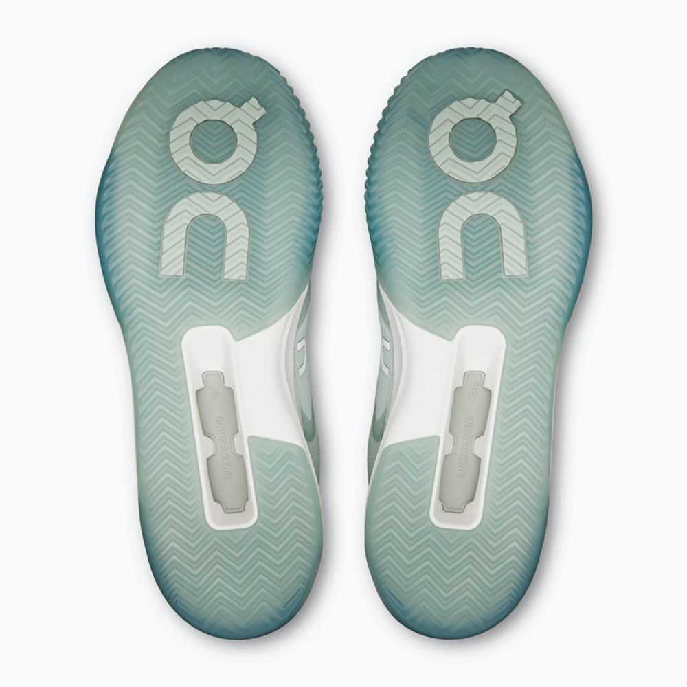 Теннисные Кроссовки On Running The Roger Advantage Pro Clay mineral/linen