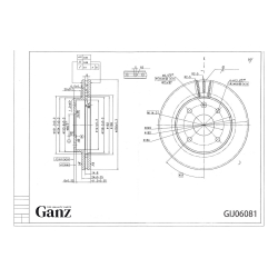 Диск тормозной GANZ передний с покрытием CHEVROLET Lacetti / Epica / Rezzo / Vent D=256mm Арт.: GIJ06081