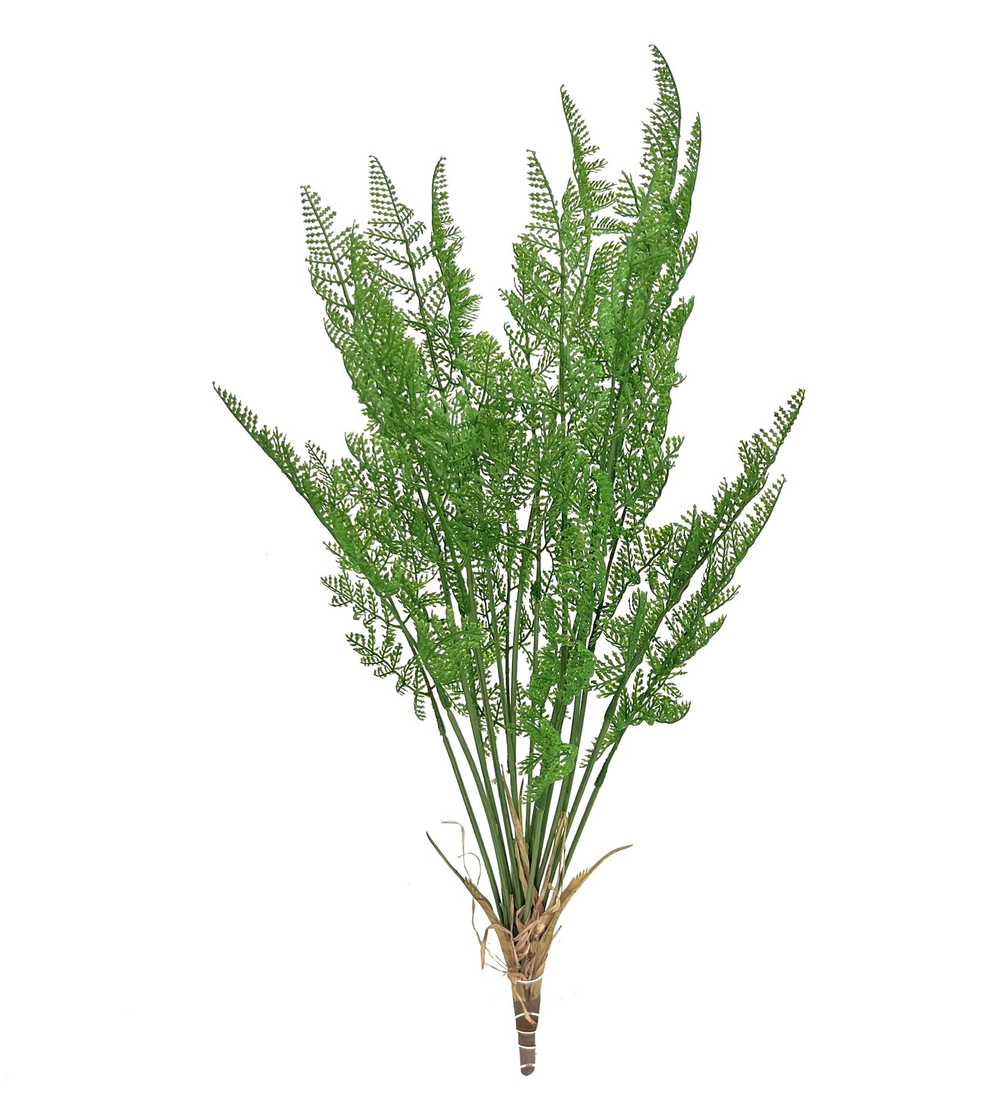 Папоротник альпийский 65 см