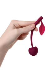 Бордовая вагинальная вишенка WILD CHERRY - 13 см. (Цвет: бордовый)