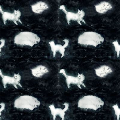 Белая кошка
