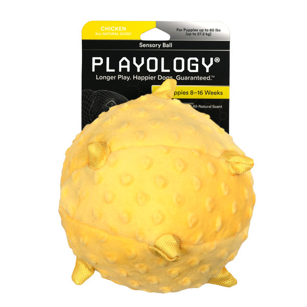 Сенсорный плюшевый мяч Playology PUPPY SENSORY BALL 15 см для щенков средних и крупных пород 8-16 недель с ароматом курицы, цвет желтый