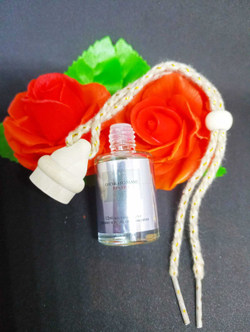 Автопарфюм Christian Dior Dior Homme Sport 12 ml