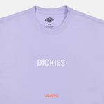  Футболка мужская Dickies Patrick Springs Tee  артикул:DK0A4YR7H181 - купить в магазине Дайс