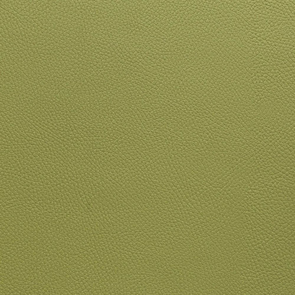 Искусственная кожа Hi Dollaro 17 pistachio (Хи Долларо пистачио)