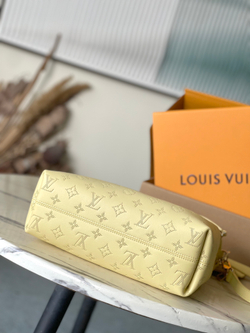 Louis Vuitton Bundle