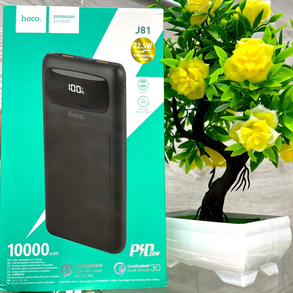 Power Bank 10000mAh, 2 USB, Hoco J81, черный
