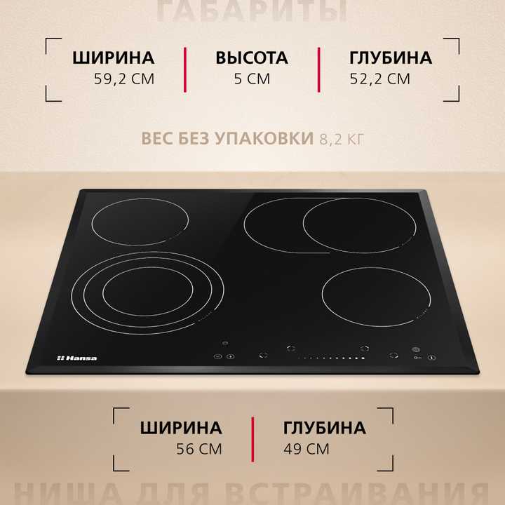 Электрическая панель Hansa BHC66906