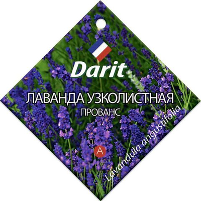 Лаванда узколистная Прованс, семена Дарит 0,1г (400)