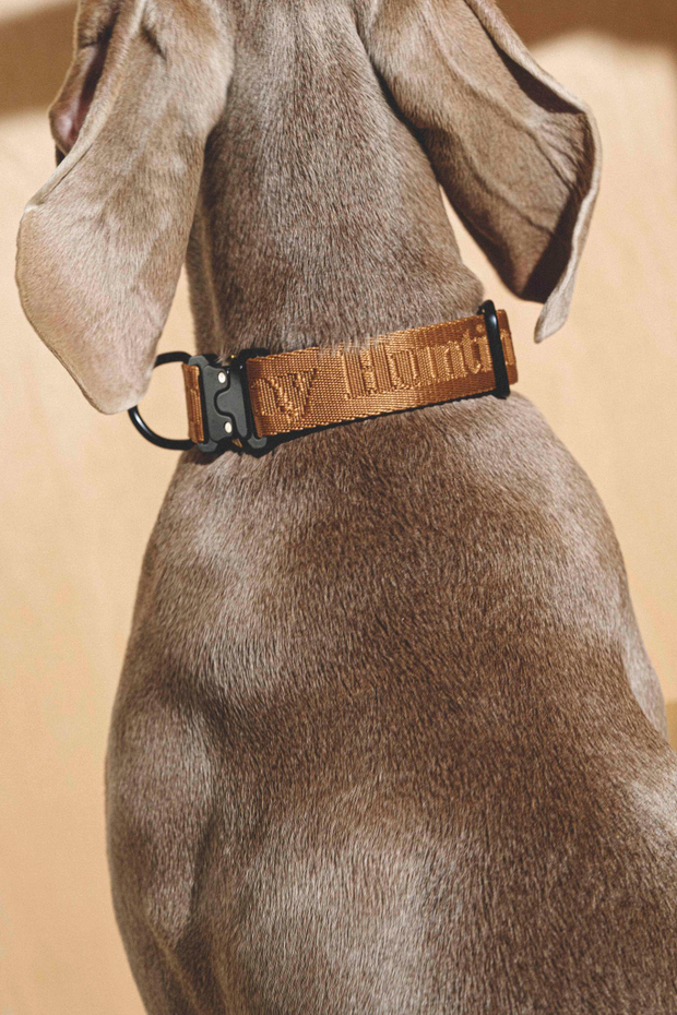 Ошейник "Пони-Компаньони" Рыжий