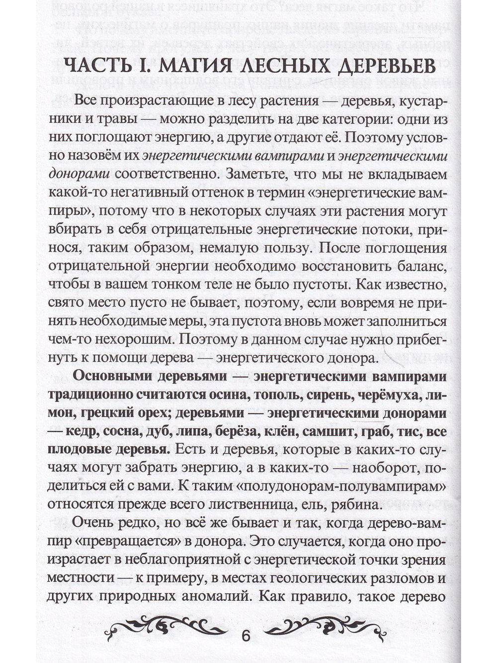 Магия леса
