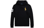 Худи Polo Ralph Lauren Logo, MNPOKNI16823-115
