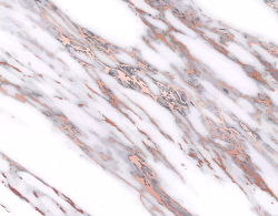 Гибкий мрамор M218WP_L