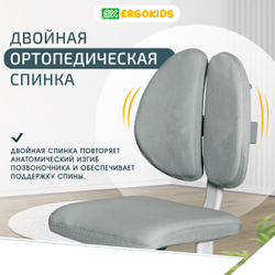 Детский стол и стул Ergokids Fresco XL BD-33