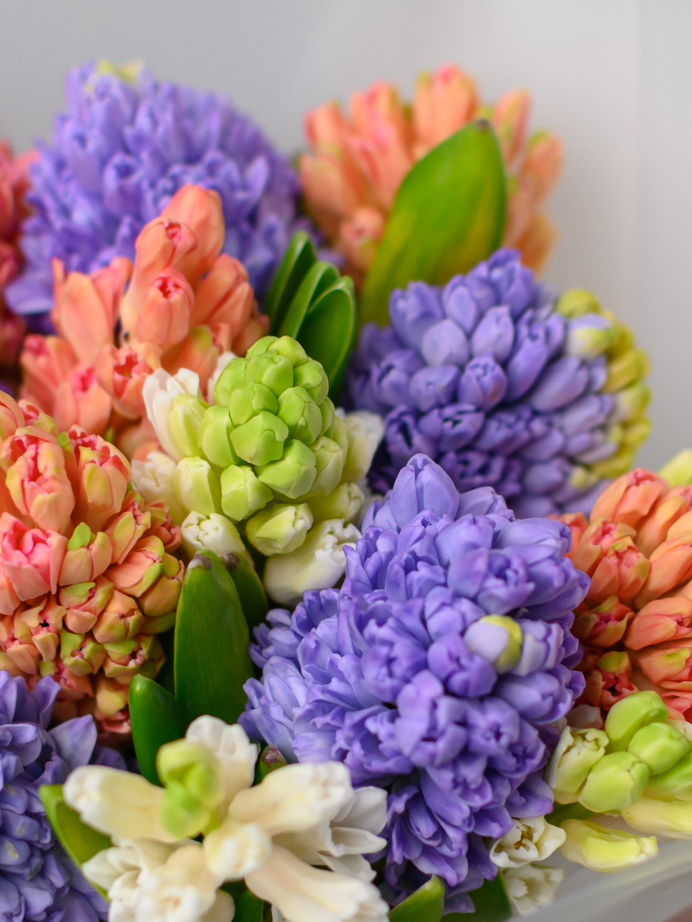 Монобукет из Гиацинтов