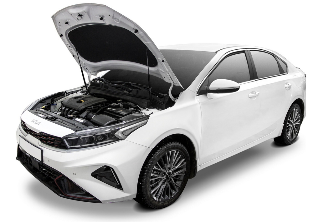 Упоры капота АвтоУпор для Kia Cerato IV 2018-2021 2021-н.в., 2 шт., UKICER021