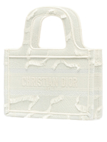 Dior Book Tote Mini