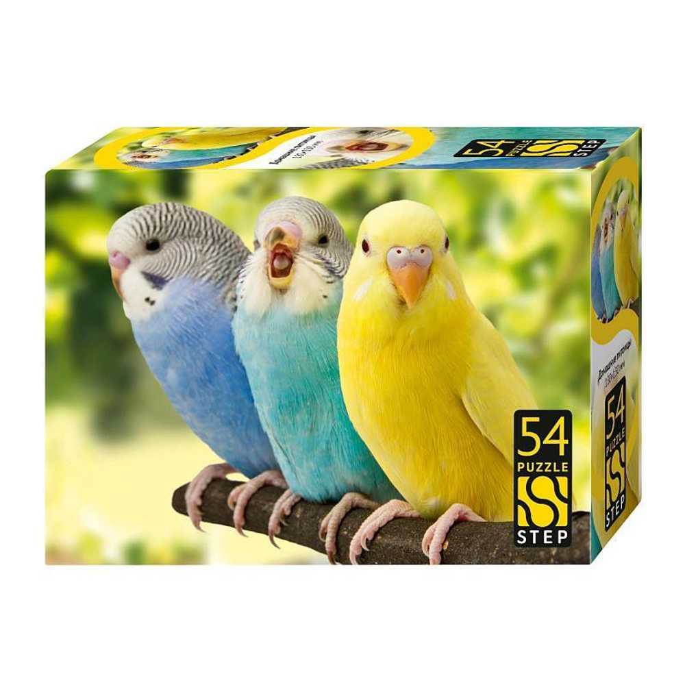 Пазл 54эл. "Домашние питомцы" (Степ пазл)