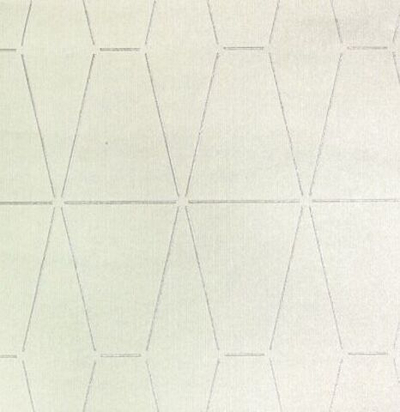 обои современные дизайнерские GEN0056