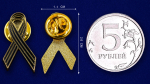 Значок "Георгиевская лента" №373