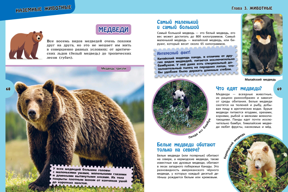 Большая энциклопедия для любознательных мальчишек