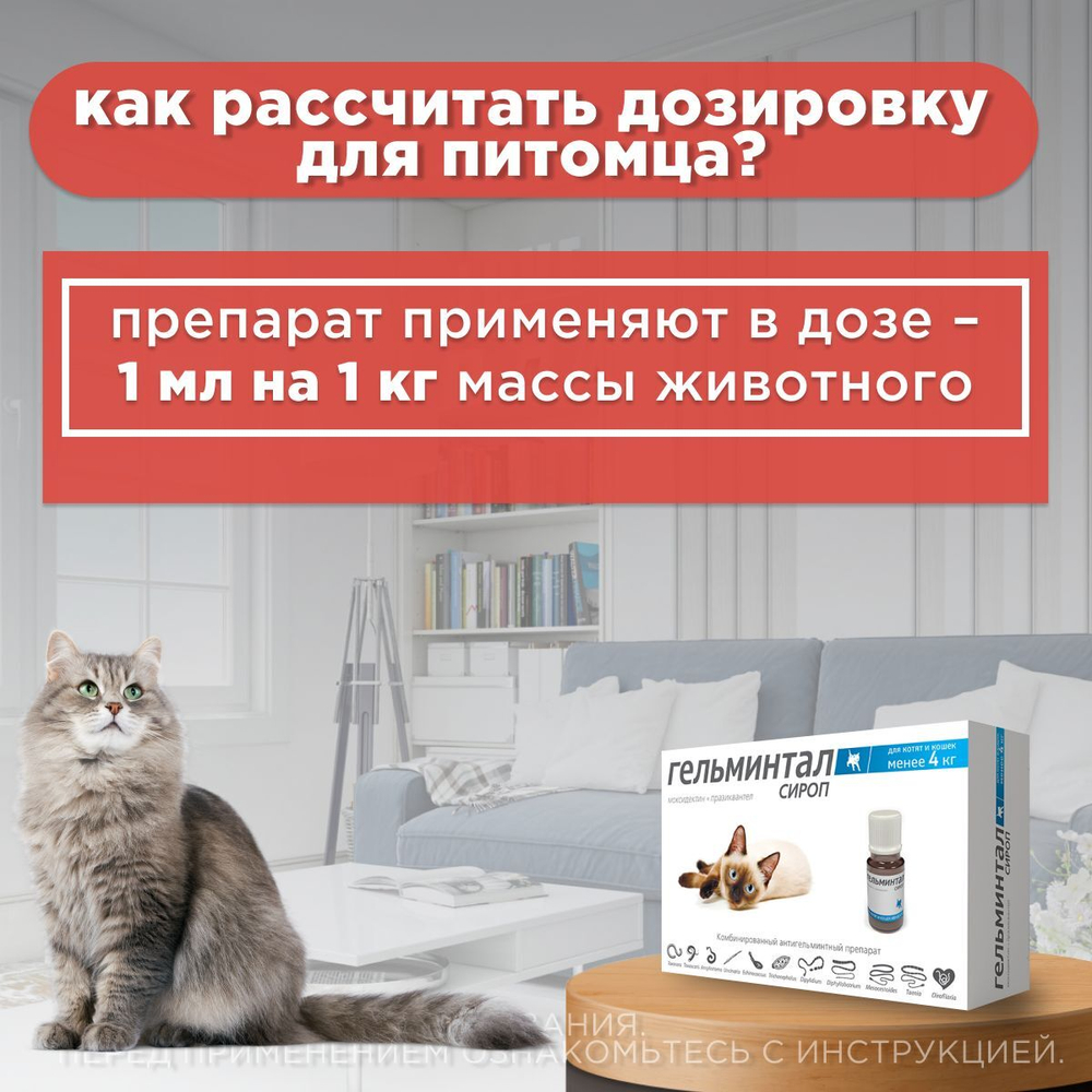 Сироп от гельминтов, профилактика дирофиляриоза для кошек менее 4 кг Гельминтал (Neoterica), 5мл. Празиквантел/ Моксидектин