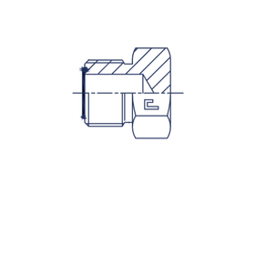 Заглушка V (Ш) ORFS 1.3/16