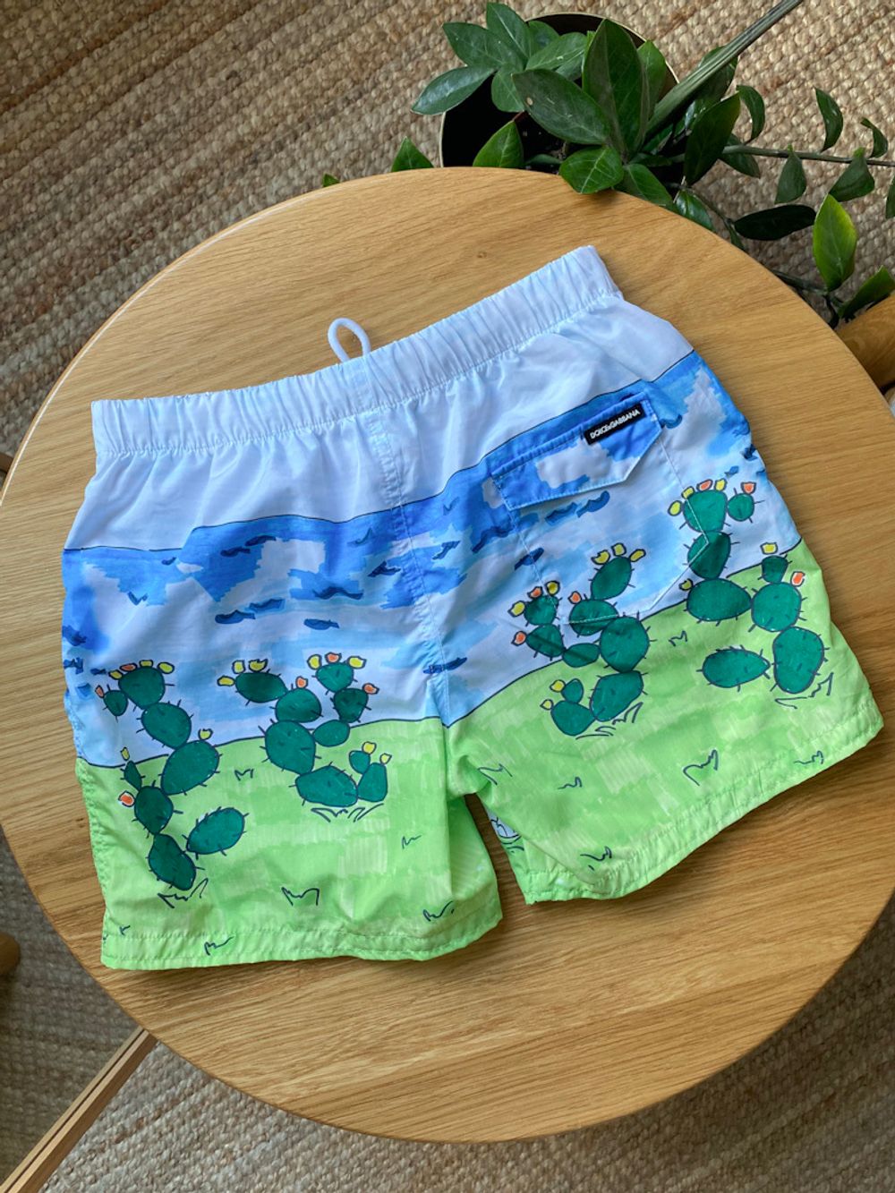 Шорты-плавки Dolce&Gabbana, 116