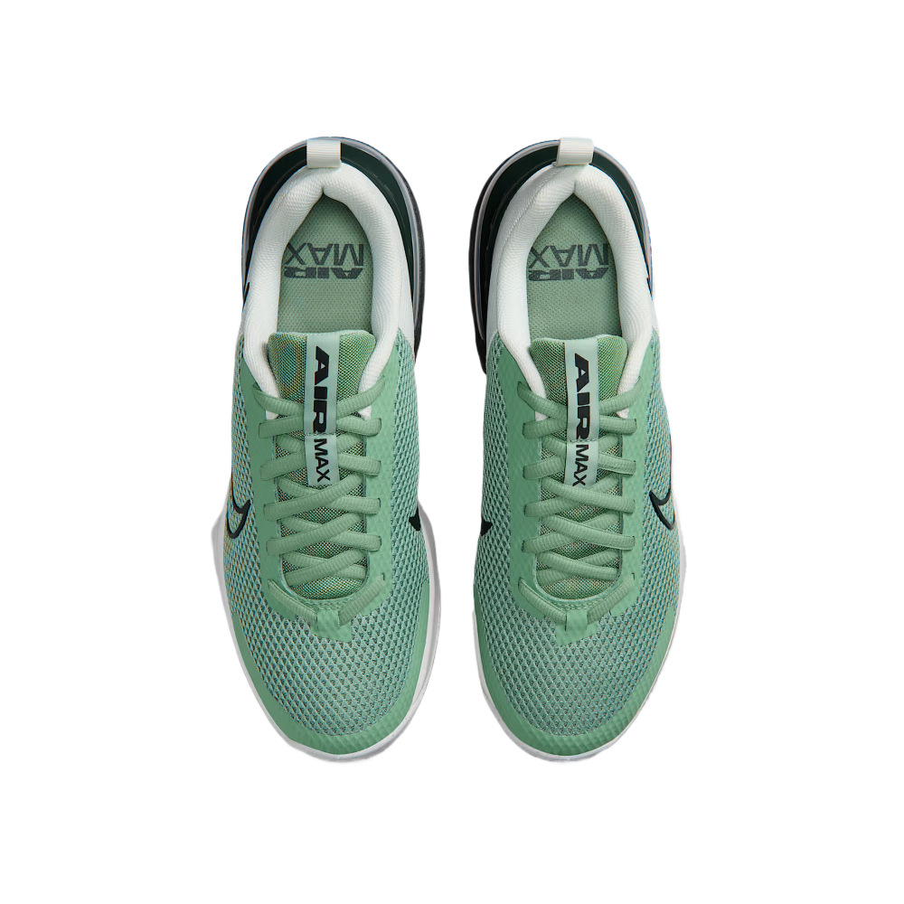 Nike Air Max Alpha Trainer 6 Training Shoes Men"s Low top Steam/Spruce Glaze/Ecru/Black Spruce