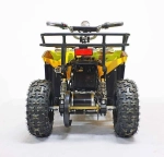 Электроквадроцикл Green Camel Гоби K40 (36V 800W R6 Цепь) быстросъем
