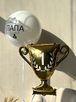 Шары для папы №8