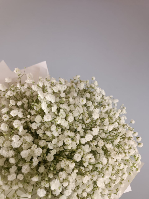 Букет из белой воздушной гипсофилы