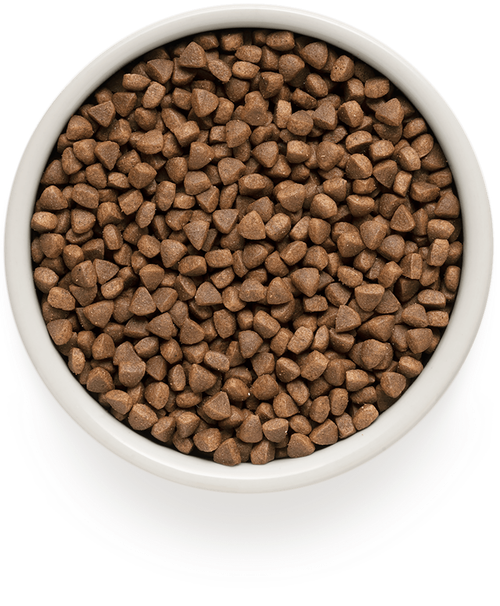 Grandorf Cat корм сухой для домашних кошек ягненок с индейкой