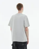 Футболка Anteater 352 Skate светло-серая