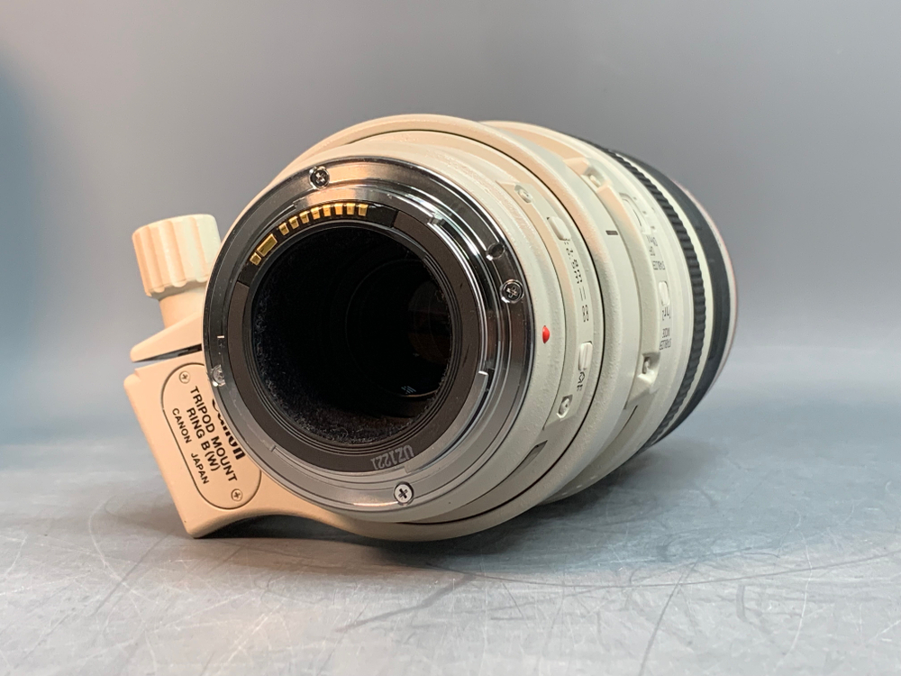 Canon EF 100-400mm 4.5-5.6L IS