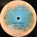 Pink Floyd - Delicate Sound Of Thunder 2LP (США 1988г.)
