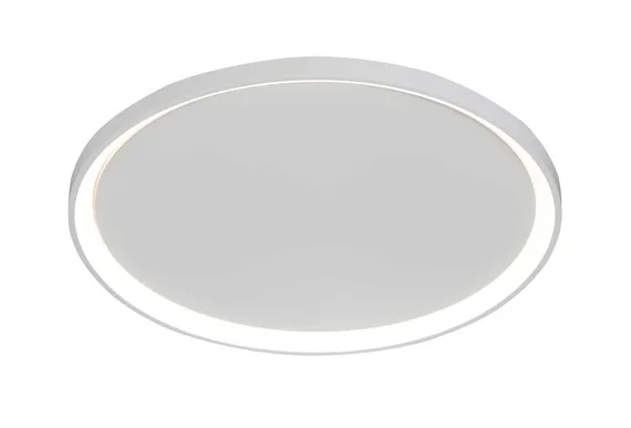 2551/380 WHITE (1) Потолочный светильник (RL)