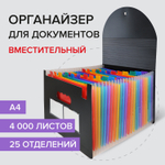 Папка-органайзер для бумаг и документов на резинке 25 отделений BRAUBERG DOCS А4 черная (2 штуки в упаковке)