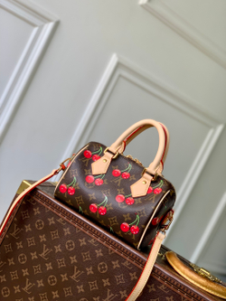 Louis Vuitton Speedy 20