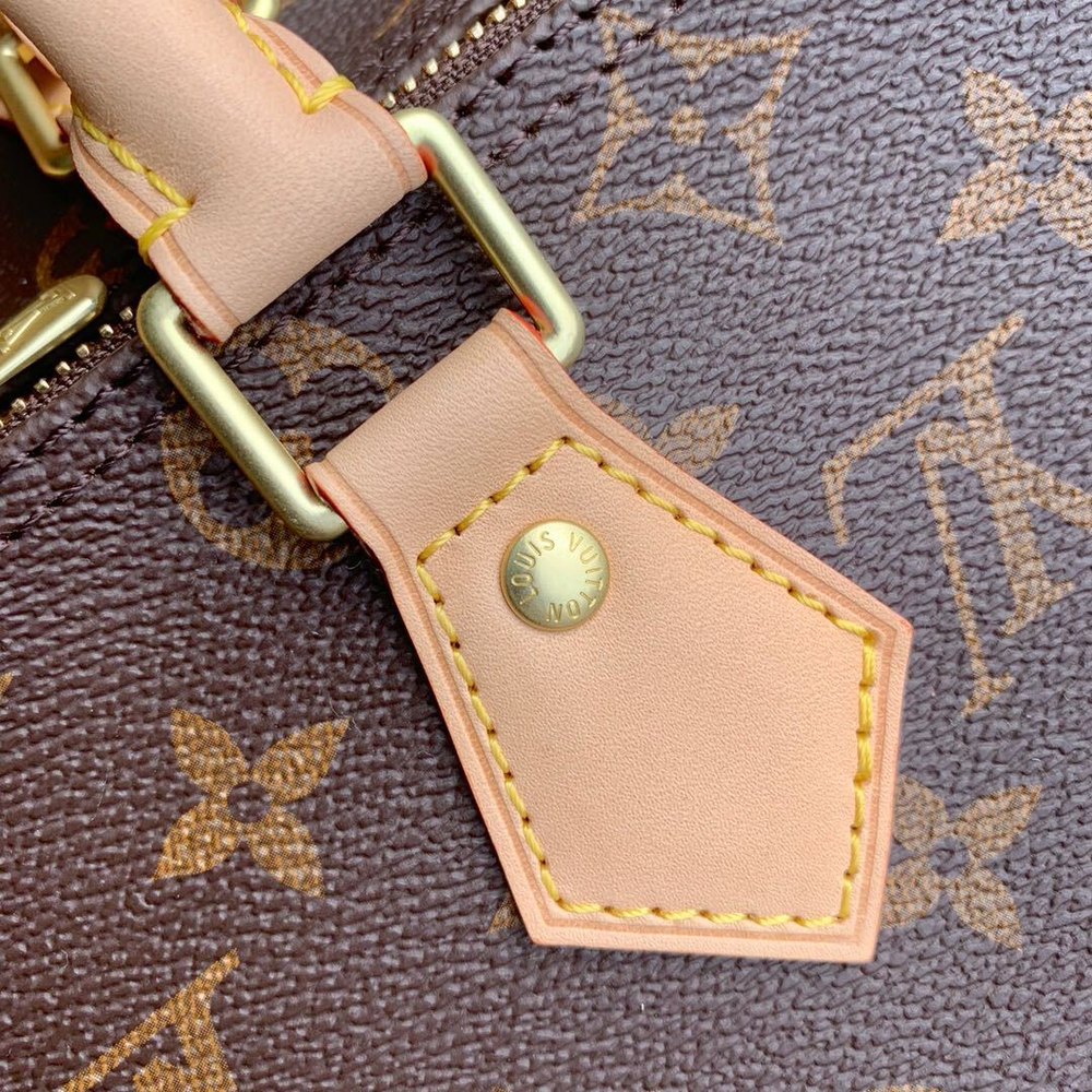 Louis Vuitton Speedy 25