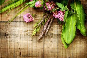 Панно из дерева Background Herbs
