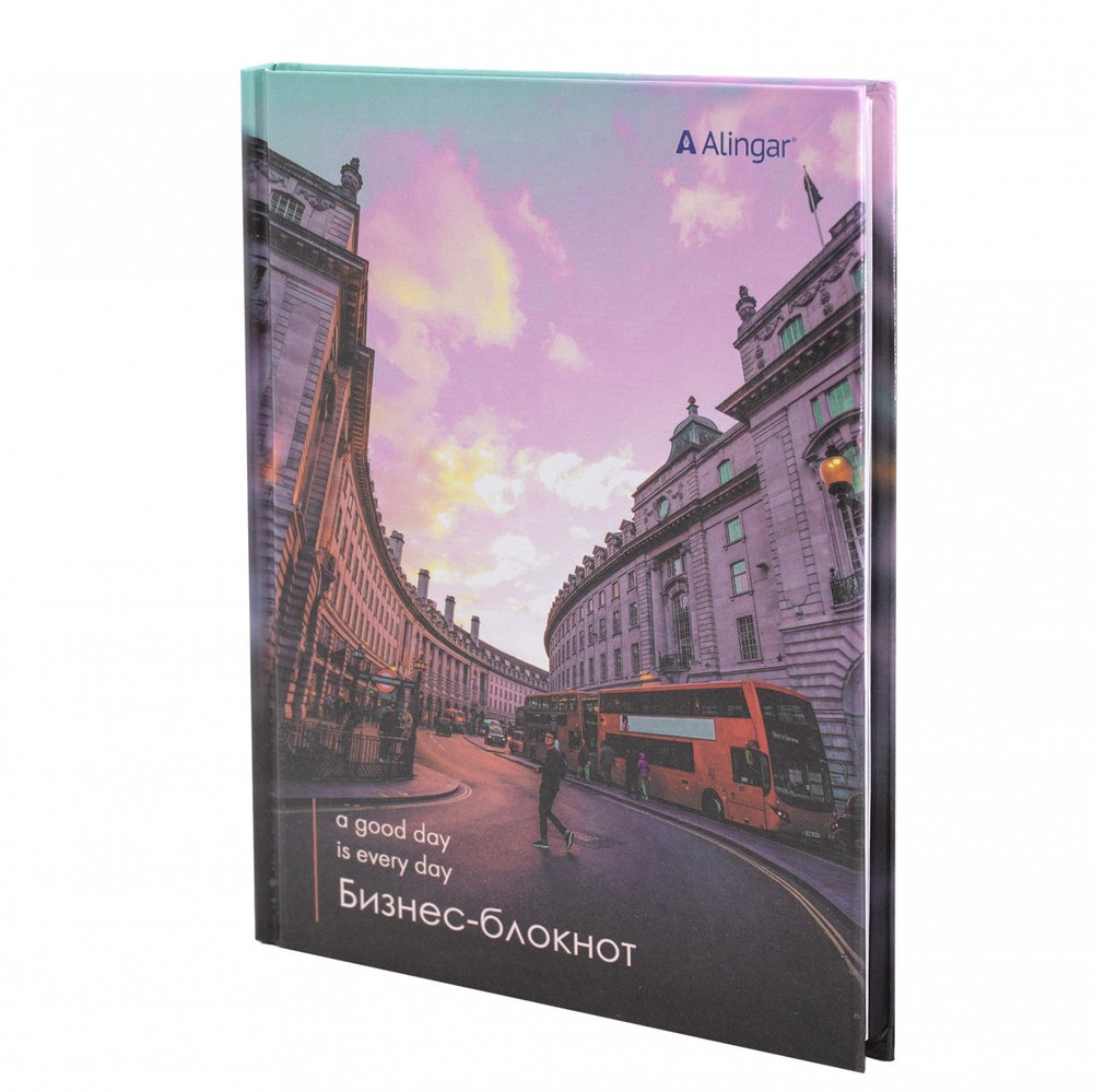 Ежедневник недатированный, А5, 7БЦ, Alingar, ламинация, 80 л., клетка, "Город"