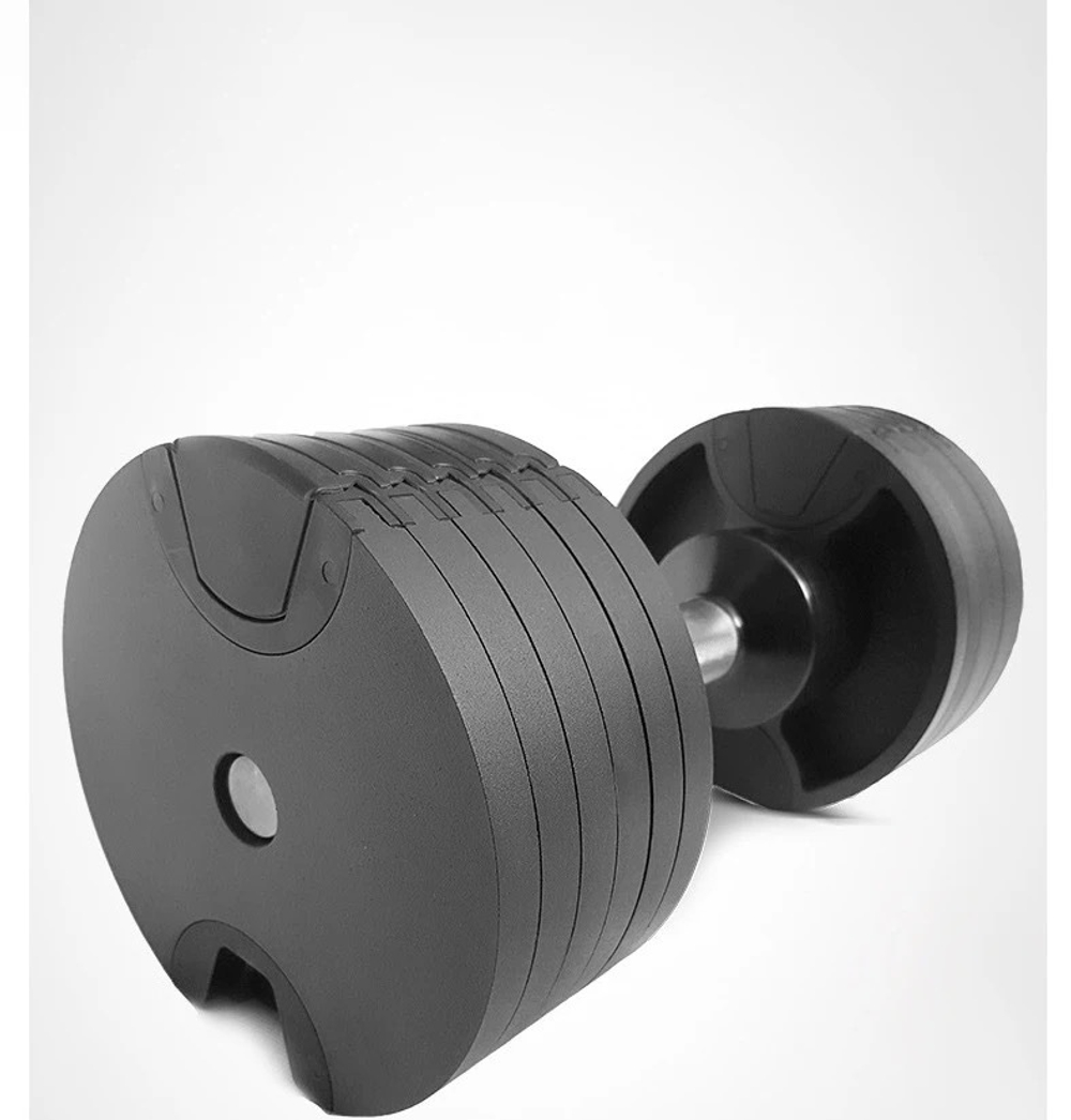 Гантель Разборная Alemsport 32 кг