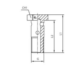 Фитинг BANJO BOLT 1/4